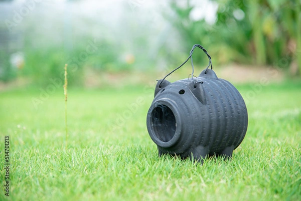 Fototapeta 蚊取り線香