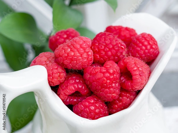 Fototapeta Red raspberries in a bowl