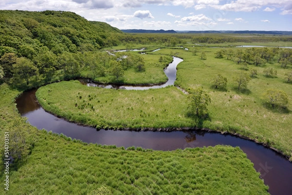Fototapeta 空から見る初夏の釧路湿原（北海道・鶴居村）
