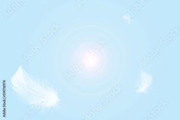 Fototapeta White feathers floating in the sky  pastel tone with sunlight. free space for add text or season,festival,baby products and other.