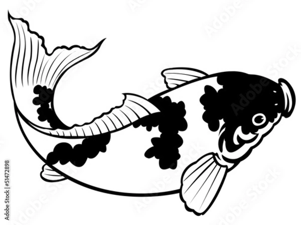 Fototapeta carp fish on white background for coloring