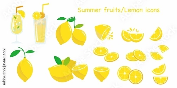 Fototapeta Set of Lemon fruits icons. Lemon icon collection. Summer fruits icon collection for Logo and graphic design. Vector illustration.