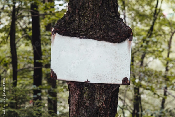 Obraz Eingewachsenes Schild