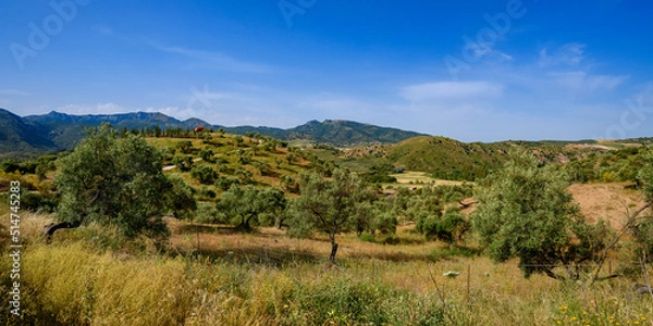 Fototapeta Andaluzyjskie wzgórza w okolicach Kordoby