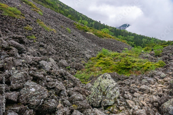 Fototapeta 仙水峠の風景