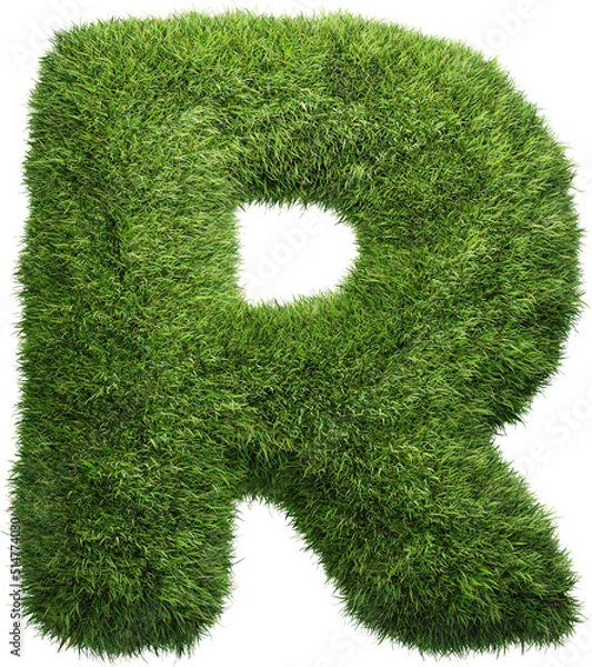 Obraz grass letter R isolated on white background