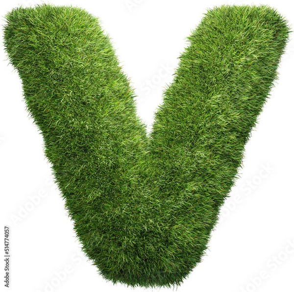 Obraz grass letter V isolated on white background