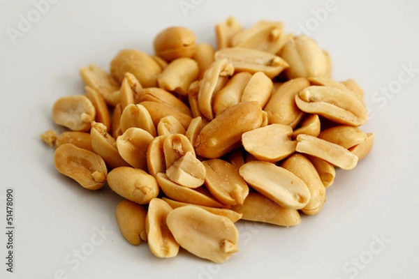 Obraz peanut in white Background