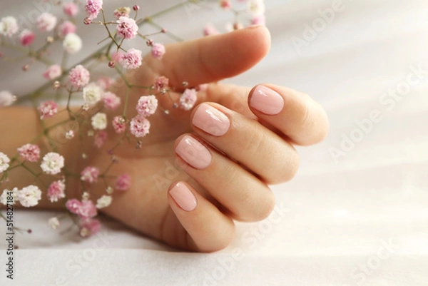Obraz Light pink manicure on short nails with Gypsophila.