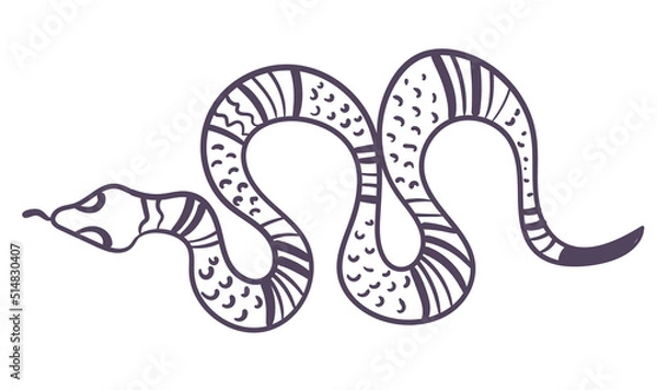Obraz Boho style ornamental magical witchy spiritual snake line art design element. Vector flat graphic design illustration