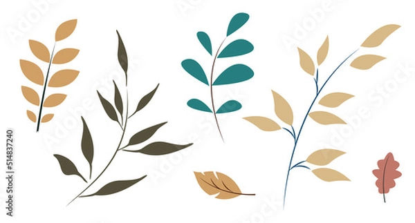 Fototapeta Vector plant set. Branches and leaves of trees.