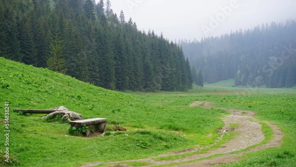 Obraz Zamglona dolina