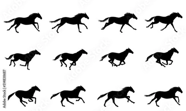 Fototapeta Galloping horse or mustang. Horse running silhouette cycle. Key positions of pony running set. Loop equine gallop motion. Isolated vector hand drawn animation cartoon poses. Equestrian collection