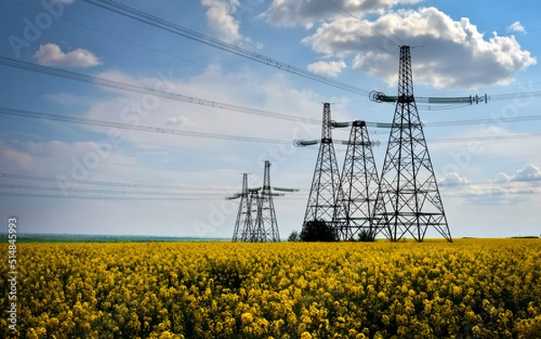 Fototapeta Transmission towers in the middle of a yellow canola field in bloom. High voltage power line at Spring