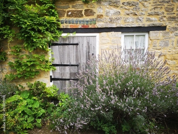 Obraz Simple and Peaceful