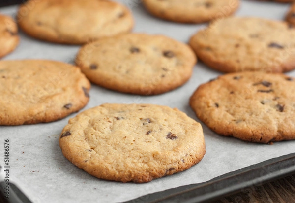 Obraz Freshly baked chocolate chip cookies