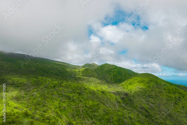 Fototapeta An aerial view of canyons and hills in the Hana Rainforest on the island of Maui, Hawaii.