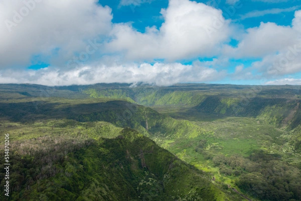 Fototapeta An aerial view of canyons in the Hana Rainforest on the island of Maui, Hawaii.