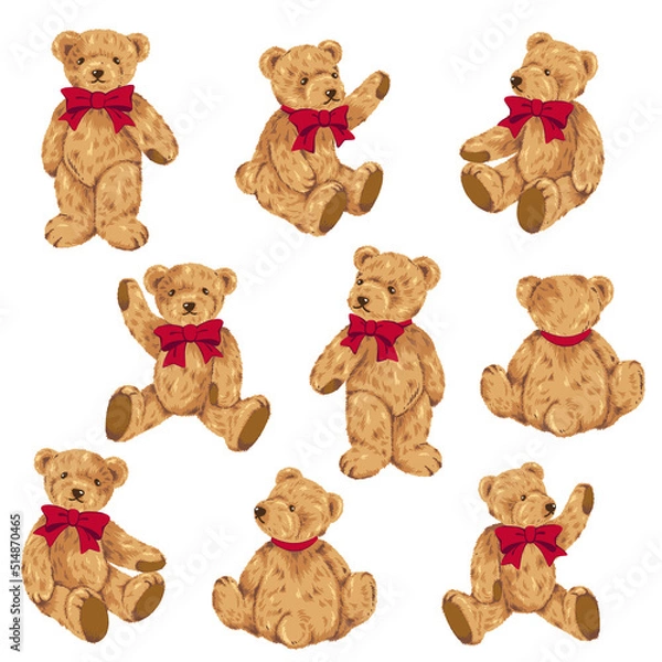 Fototapeta Cute bear vector illustration collection,