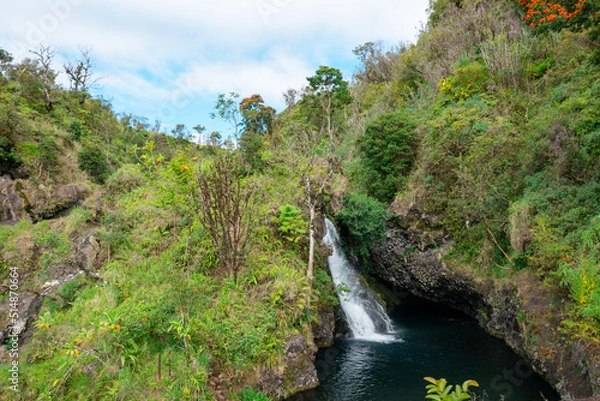Fototapeta A waterfall in the Hana Rainforest on the island of Maui, Hawaii.