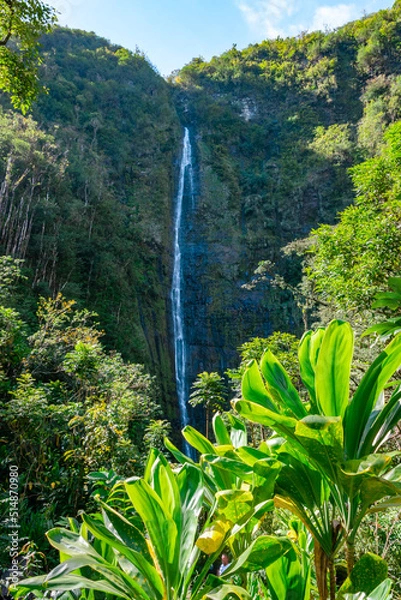 Fototapeta A waterfall in the Hana Rainforest on the island of Maui, Hawaii.