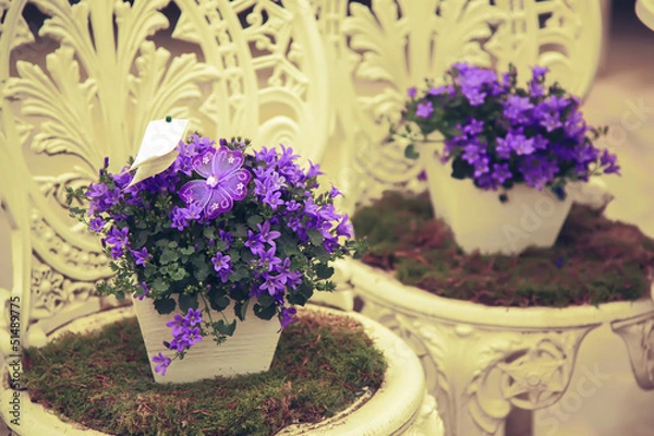 Fototapeta spring flowers