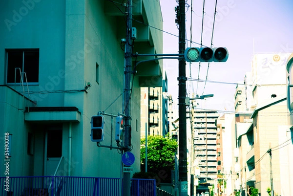 Obraz 路地裏の信号機