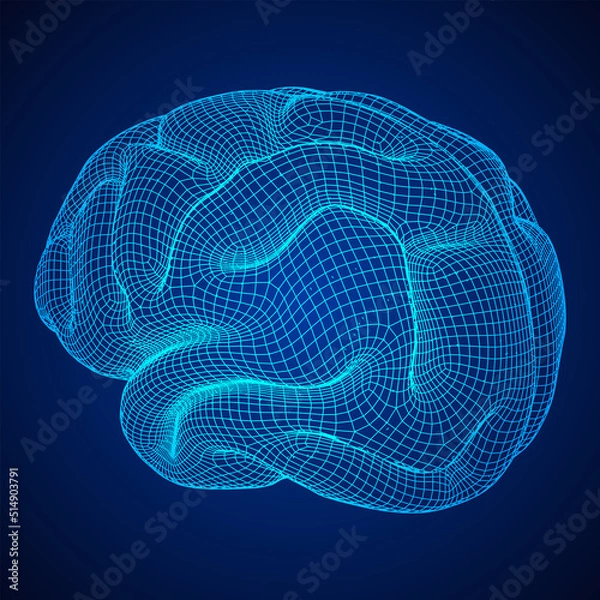 Fototapeta Brain. Low poly abstract digital human brain. Wireframe illustration.