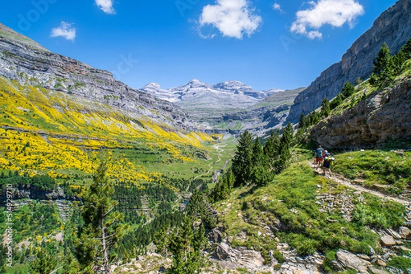 Fototapeta Hikers on the way to the Cola de Caballo waterfall in Ordesa and Monte Perdido National park.
