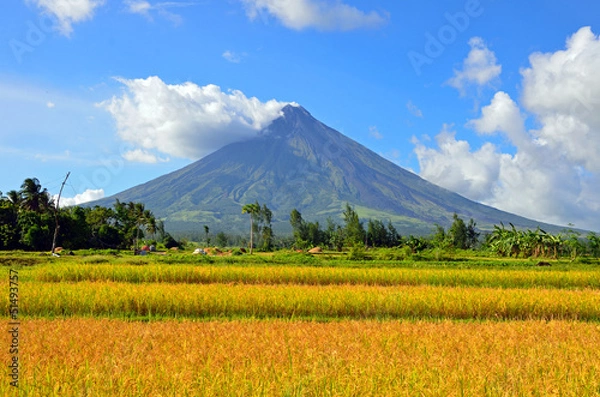 Obraz Mayon Volcano in the Philippines
