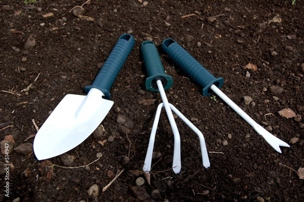 Obraz garden tools
