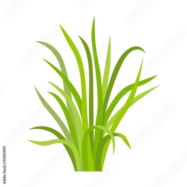 Fototapeta Green grass pattern flat icon. Leaf borders, flower elements, nature background vector illustration. Green land concept for template design
