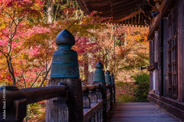Obraz 播州清水寺（兵庫県加東町）の紅葉