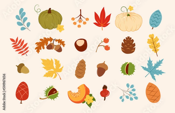 Fototapeta Autumn collection with leaves, pumpkins, berries, cones, nuts, acorns. For design, print, postcards, flyers and print.