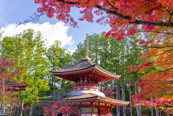 Obraz 高野山（和歌山県高野町）の紅葉