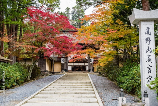Obraz 高野山（和歌山県高野町）の紅葉