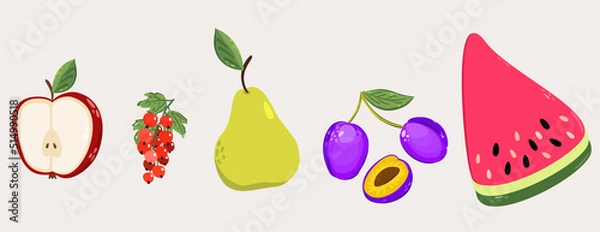 Fototapeta Vector collection of various sweet fruits on light background: apple, red currant, pear, plums and slice of watermelon.