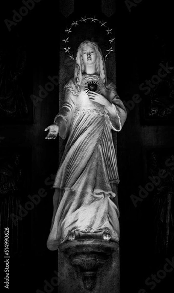 Obraz Hauntingly beautiful 