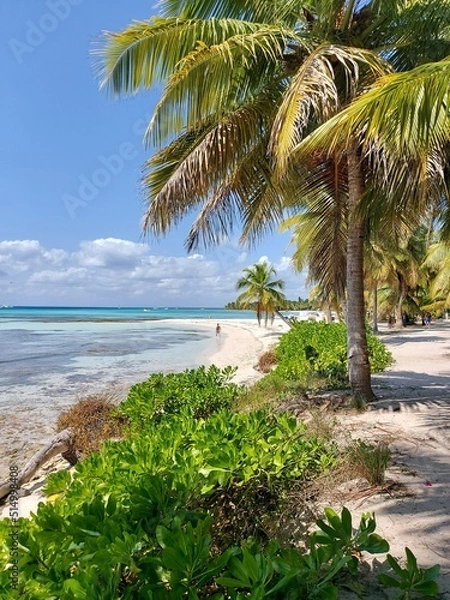 Fototapeta Beach paradise with trees and sky