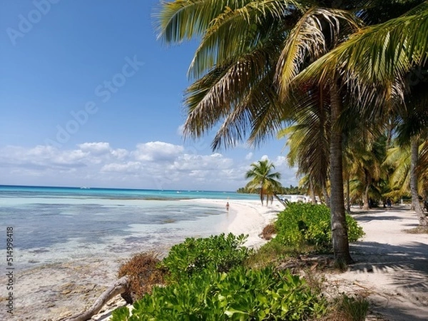 Fototapeta Beach with palm trees and sky
