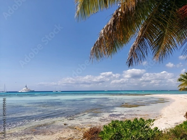 Fototapeta Beach paradise with palm trees and sea