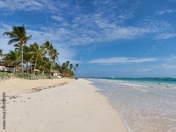 Fototapeta Beach with palm trees and sea