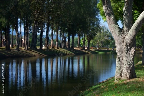 Fototapeta Trees by the pond in Sukhothai Historical Park