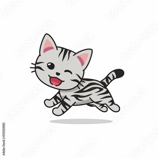 Obraz Vector cartoon character american shorthair cat running for design.