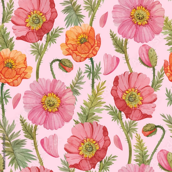 Obraz Seamless pattern with colorful watercolor poppies. Floral print with poppies on a light pink background.
