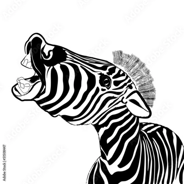 Fototapeta Portrait of emotional zebra, isolated on a white background. Vec