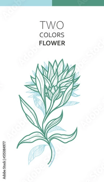 Fototapeta Two Colors Flower Line Vector
