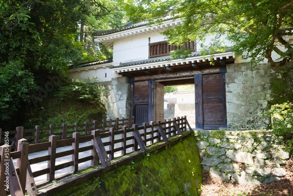 Obraz 飫肥城大手門
