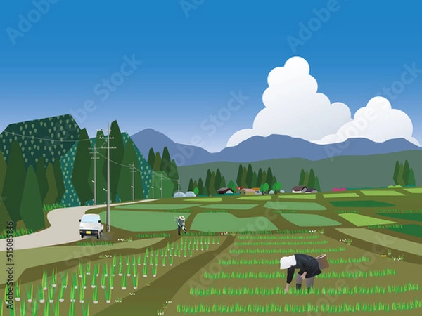 Fototapeta 信州蓼科の田舎風景