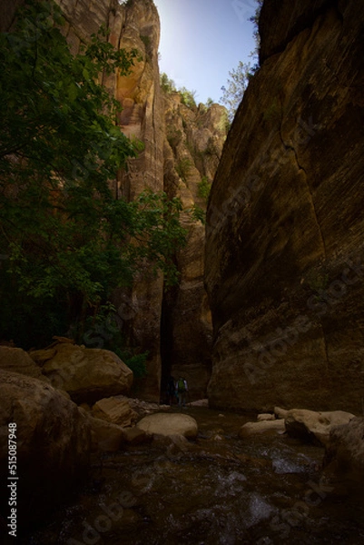 Obraz Zion The Narrows, First Narrows